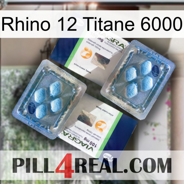 Rhino 12 Titanium 6000 viagra5